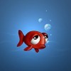 離岸不遠的魚