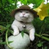 時光農夫